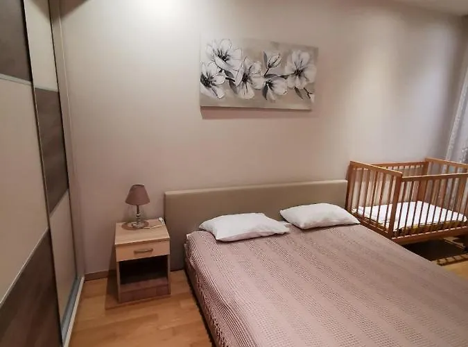 Апартаменты Ana Златибор